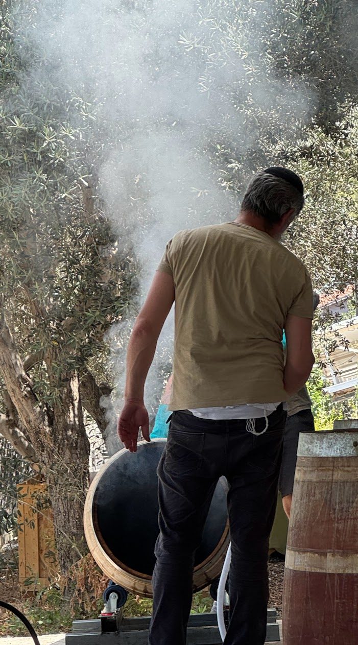 אדים עולים מחבית בזמן הכנתה, מתחת לעץ זית